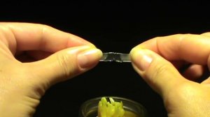 Как соединять регилин в полях  шляпки и сумках.How to connect regilin fields hats and bags