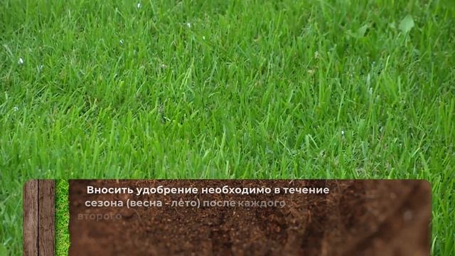 Уход и подкормка газона летом. Фертика газон-весна лето. смотреть онлайн