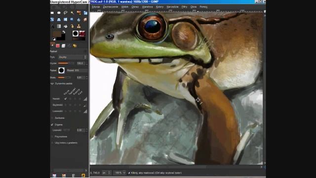 Painting a frog [GIMP] смотреть онлайн