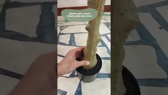 Фикус микрокарпа искусственный смотреть онлайн