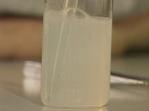 Химия. Опыты. Неорганика. Взаимопревращение карбонатов и гидрокарбонатов