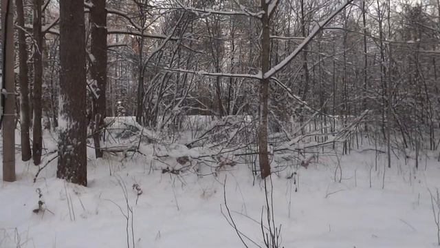 Симагино, 28 соток ИЖС смотреть онлайн
