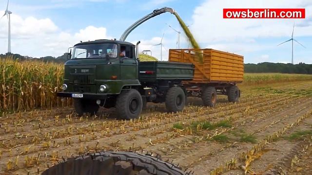 Уборка Кукурузы с ИФА Л60 смотреть онлайн