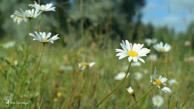 Мантра Защиты ✫ Помощи в трудной ситуации