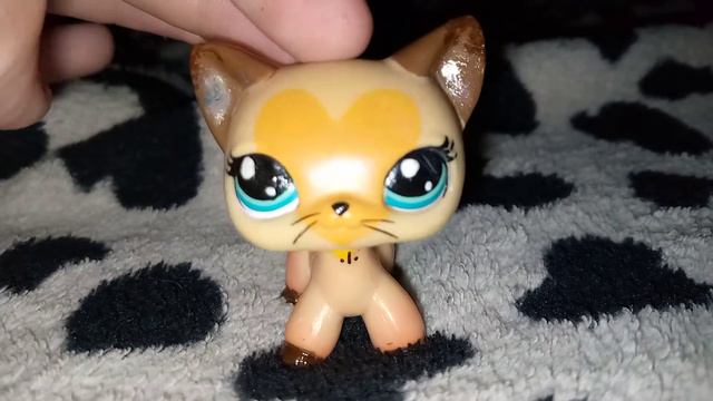 Сделать из нее ооак?)🐾 (сори что без фона и шум😢) смотреть онлайн