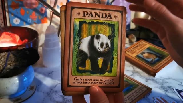 Messages from your animal spirit guides oracle deck by Steven D Farmer смотреть онлайн