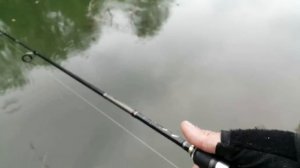 Рыбалка рядом с домом. Ловля симы и горбуши.Сахалинская рыбалка & Sakhalin fishing