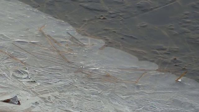 Рыбалка броварчан в Зазимье 20.03.15 смотреть онлайн