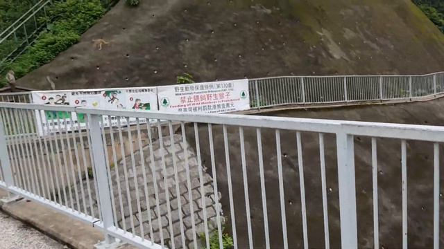 Monkey Hills Hongkong Hong Kong. смотреть онлайн