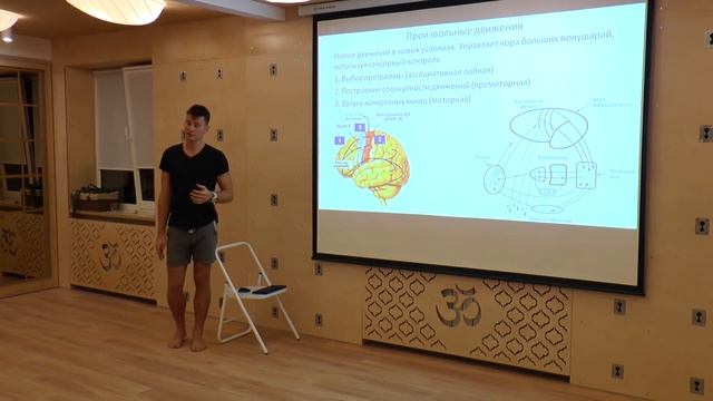 Йога Дорошенко: лекция Йога и мозг. Физиология. Нейронаука. Эволюция смотреть онлайн