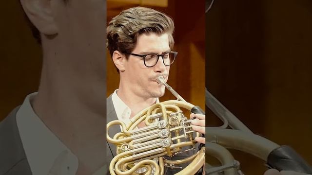 Excerpt from a powerful impro moment with Duo Voyage #frenchhorn #improvisation #pianomusic #munich смотреть онлайн