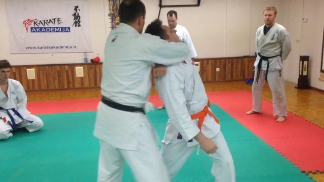 Koryu Karate Jutsu Jissen Ryu Lithuania смотреть онлайн