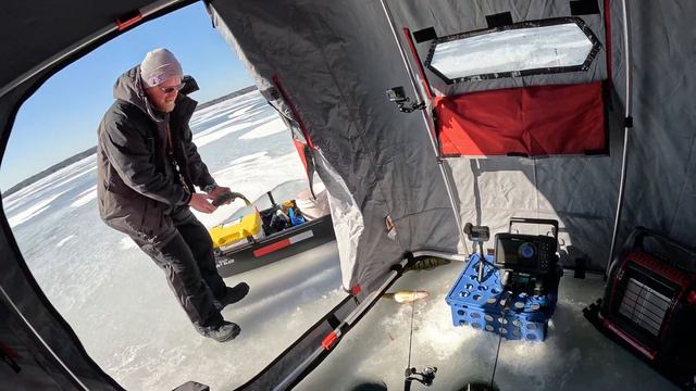 BEST DAY OF PERCH FISHING EVER | Mullett Lake MI смотреть онлайн