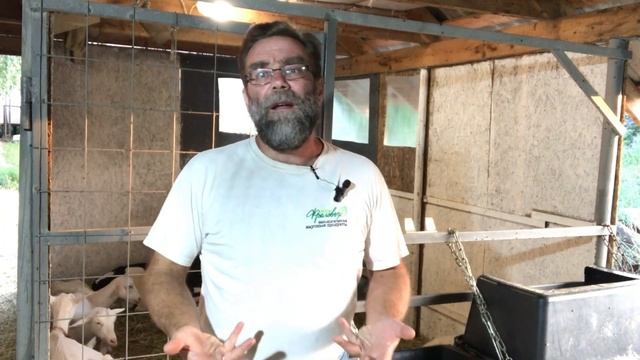 Как заработать в деревне денег сразу и стабильно?! смотреть онлайн