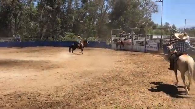 CHARREADA EN RANCHO CABALLERO смотреть онлайн