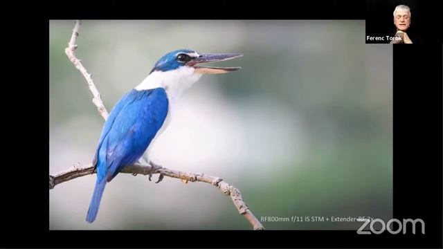 TALK BY CANON REPRESENTATIVES смотреть онлайн