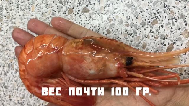 Мой обзор Ботанов и лысой креветок. смотреть онлайн