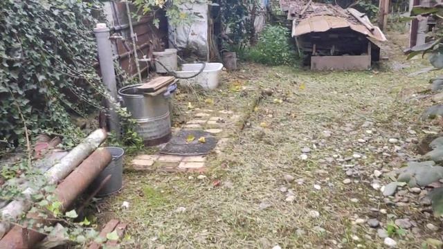 Гостевой дом в г Гагра, ул Альпийская смотреть онлайн
