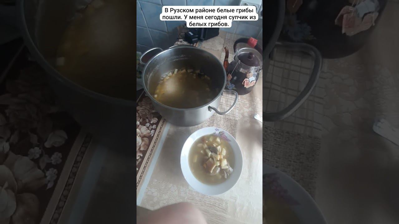 В Рузском районе белые грибы пошли смотреть онлайн