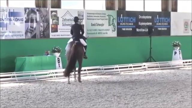 Andrea Buchter & Samba Hit´s Showdown смотреть онлайн