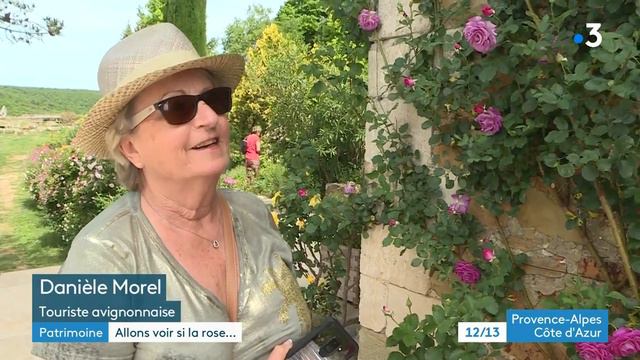 Le jardin de l'abbaye de Valsaintes voit la vie en rose (Alpes de Haute Provence) смотреть онлайн