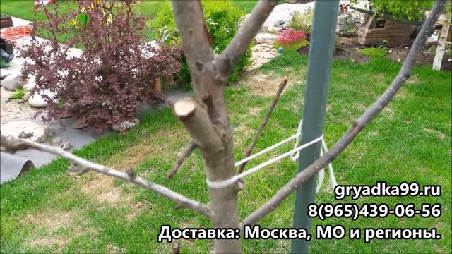 Титановый секатор ЦИ тестируем, отзывы, преимущества