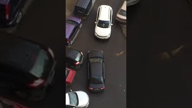 Кто тебе права дал тварь?!! смотреть онлайн