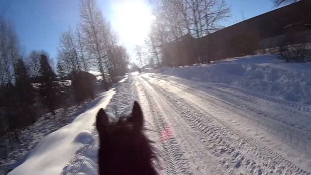Нытва Прогулка верхом смотреть онлайн