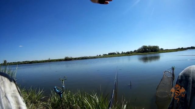 Ловля карася в нерест. Майский карась. смотреть онлайн