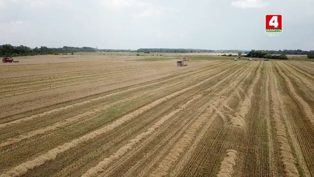 Агроград 08-08-18 смотреть онлайн