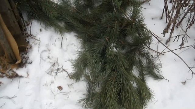 Дополнительное страховочное укрытия винограда в зиму на улице. смотреть онлайн