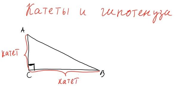 Катеты и гипотенуза
