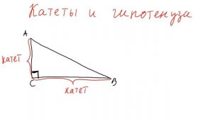 Катеты и гипотенуза