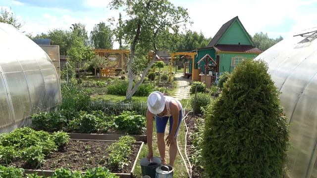 6 соток в июне. Хроника. Garden in June. Chronicle смотреть онлайн