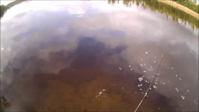 Зубастая после дождей 02.09.2018. смотреть онлайн