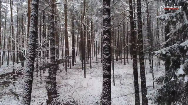 Изумительная, нежная музыка души и КРАСИВАЯ ЗИМНЯЯ ПРИРОДА (релакс музыка Сергея Чекалина - Пейзаж) смотреть онлайн