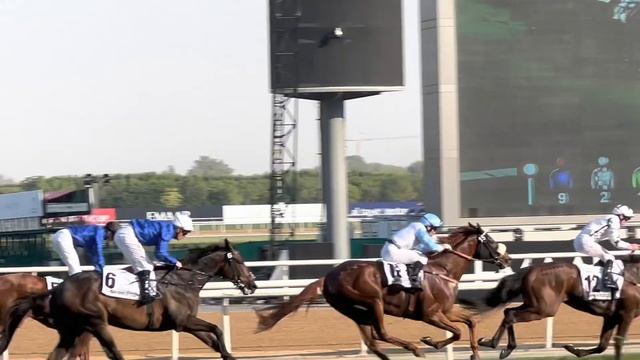 Скачки Дубай Dubai World Cup 23 | Самый большой ипподром в мире смотреть онлайн