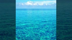 Поль Мориа (Любовь цвета синего)