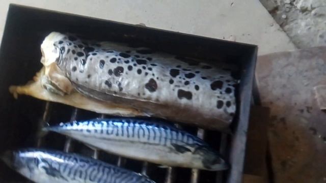 Ответные знания