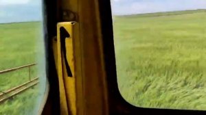 Листовая подкормка озимой пшеницы 🌾 Результат более 65 ц\га. Весь цикл подкормки пшеницы