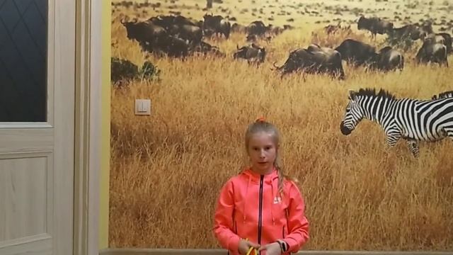 Обычная скакалка VS Гимнастическая скакалка/Какая скакалка лучше?/Дорого VS Дёшево