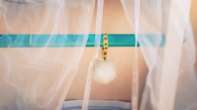 Как сделать домик для кошки?! Как ухаживать за кошкой???? смотреть онлайн