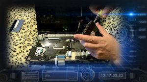 Замена HDD на SSD в ASUS X200MA с тачскрином - replacement HDD on SSD in ASUS X200MA.