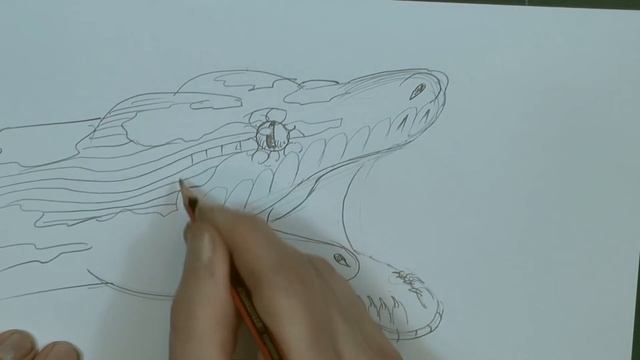 How to Draw a Snake - the Carpet Python (beginner)- Spoken Tutorial смотреть онлайн