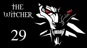 The Witcher / Ведьмак - Куча разных дел - Прохождение игры на русском [#29] | PC (2016 г.)