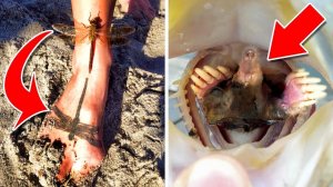 Совпадения на Миллион. Часть 7