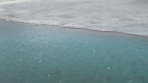 Рыбалка на Катуни среди золотых гор. Осень 2021. Часть 2. Крупный ленок и таймень!