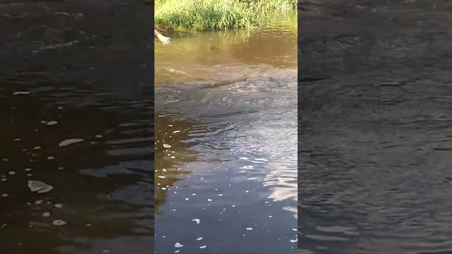 Рыбалка на снежке угораем смотреть онлайн