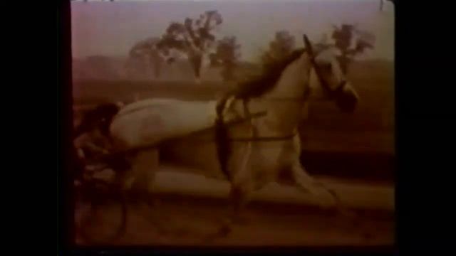 Greyhound_The King of Trotters_The Grey Ghost_1932-1965 смотреть онлайн