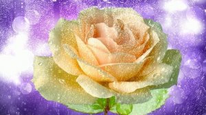 Футаж. Цветы под дождём 12